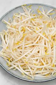 mung bean sprouts togue recipes by nora