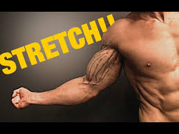 how to stretch your biceps feel it