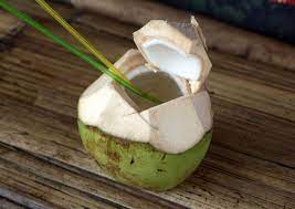 Home of the coconut 1/2 shell ice cream cup and coconut drink cup since 2003. 10 Uses Of Coconut Trees Dengarden