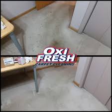 oxi fresh carpet cleaning 67 photos
