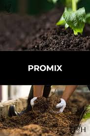 promix soil review for home gardeners