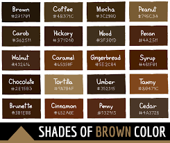 128 shades of brown color with names