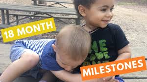 18 Month Developmental Milestones Baby Developmental Milestones