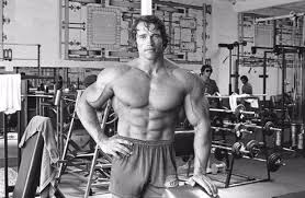 Arnold Schwarzenegger Workout Routine And Diet Plan Train