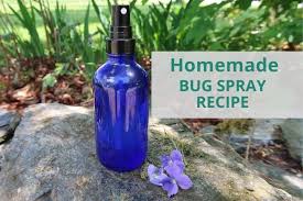 homemade bug spray that actually works