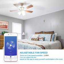 Wifi Smart Ceiling Fan Light Wall