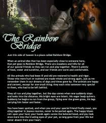 the rainbow bridge poem pet memorial