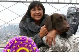 German shorthaired pointer puppies in california. Temecula S Top Dog Wins Westminster Visits Empire State Building Baltimore Sun