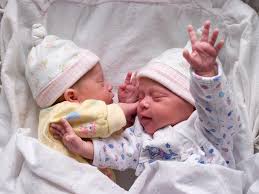 twins in the womb week by week fetal