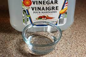 does vinegar kill fleas safety