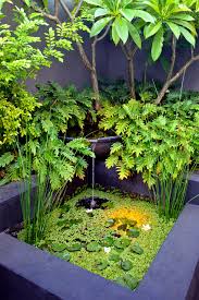 Melville Courtyards Tropical Garden