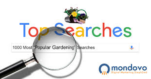 gardening keywords in google
