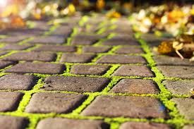 How To Remove Moss From Pavers