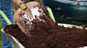 potting with peat plants