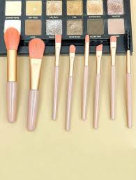 makeup brushes set for beginners