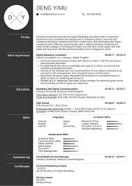 Resume Examples By Real People Digital Marketing Consultant