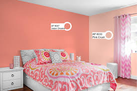 jaipur dreams with pink crush paint