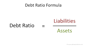 debt ratio in financial projections