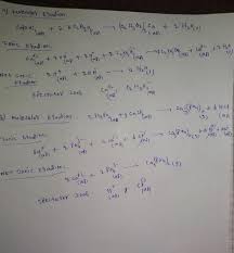 Net Ionic Equations