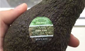 How You Can Tell If An Avocado Is Perfectly Ripe Revealed