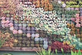 16 Stunning Succulent Gardens To