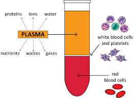 blood separation learn the process