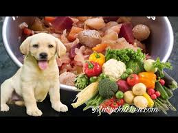 homemade vegetarian food for pet dog