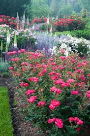 How To Plant Beautiful Garden Borders