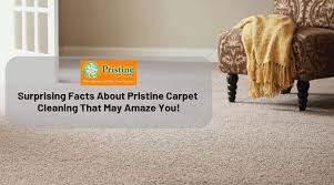 pristine carpet cleaning