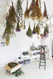 Arte floral deco floral floral wall floral design cut flowers dried flowers small flowers yellow flowers dried flower bouquet. Dried Flower Bouquets Hanging From Ceiling An Inventive Way To Style Dead Flowers Dried Flower Arrangements Dried Flower Bouquet Dried Flowers