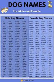 most por male and female dog names