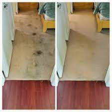 carpet cleaning in long beach chem