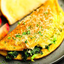 just egg omelette nora cooks