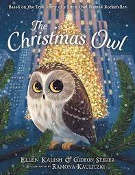 the christmas owl based on the true