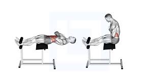 roman chair sit up guide benefits
