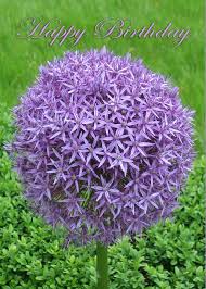 30,000+ vectors, stock photos & psd files. Ball Of Purple Flowers Happy Birthday Greeting Card For Sale By Martin Matthews