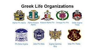 greek life organizations university