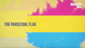 Trans pride flag — monica helms, an openly transgender american woman, created the flag in 1999. Explained The Pansexual Flag Video