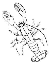 The free printable animal coloring pages can be used to create your own animal. Free Lobster Coloring Page Free Coloring Pages Coloring Pages Animal Coloring Pages