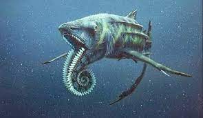 Helicoprion, a shark/ratfish (one of the most bizarre prehistoric creatures) | Prehistoric creatures, Weird sharks, Prehistoric animals