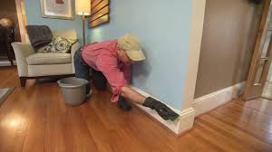 how to paint baseboards with carpet