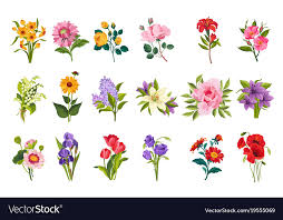 Garden Flowers Collection Royalty Free