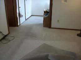 alpine cleaning solutions llc reviews