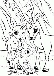 Free printable rudolph coloring pages. Reindeer Free Printable Christmas Coloring Pages Novocom Top