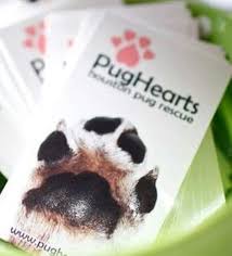 Subscribe to the get houston pets newsletter. Pets For Adoption At Pughearts The Houston Pug Rescue In Alvin Tx Petfinder