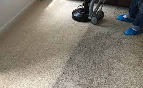 residential cleaning blue dog carpet