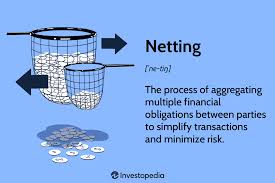 netting definition how it works