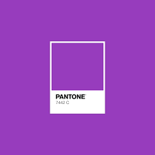 neon purple7442 pantone purple pink