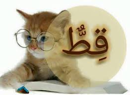 Cara menulis huruf arab disambung dan dimulai dari kanan ke kiri. Kucing Dalam Bahasa Arab Hewan Belajar Bahasa Arab Facebook