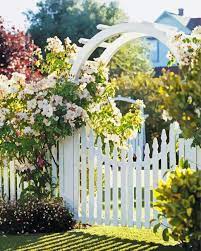 White Garden Gate Flowers Paint By